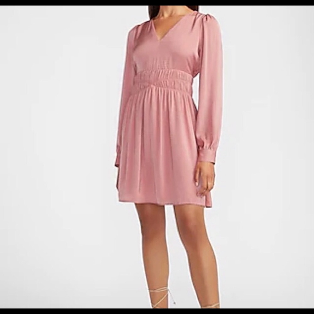 Express Vintage Rose Color Dress Size L